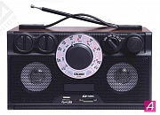 ������������� "������ ��-304", ���/��/��, 4xR20, 220V, USB,SD, ������, 24�9.5�14.5 ��.