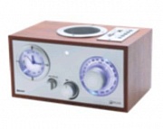 ������������� ���� ��-319, ���, 220V, USB, SD, microSD, Bluetooth, ����, 21�16�11 ��.