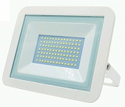 LEEK ��������� ������������ LED7 70W(4900lm) 6500K 6K 205�165�25,2 CW WHITE �����  (������) IP65 9634